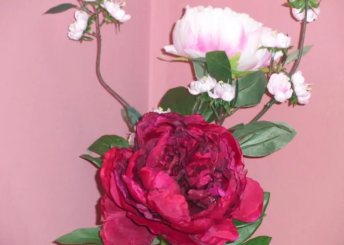 Guest house El Acebo Ubiarco