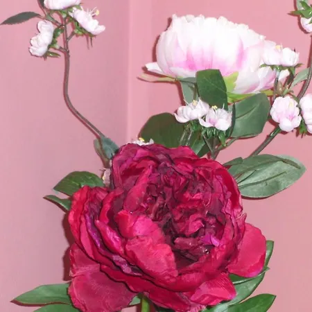 Gæstehus El Acebo Ubiarco