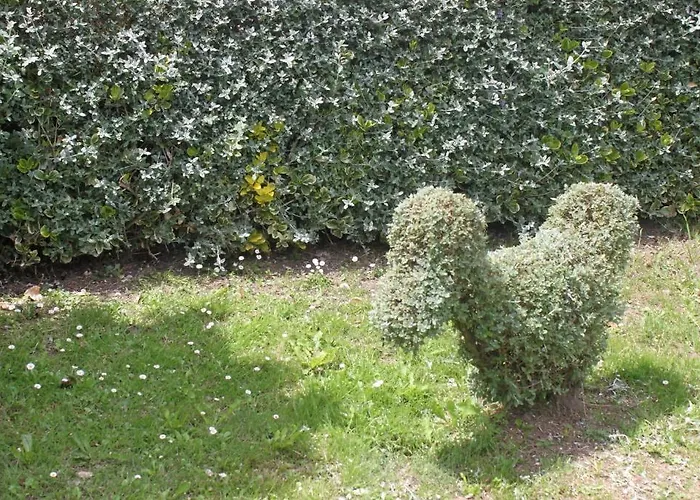 El Acebo Affittacamere *